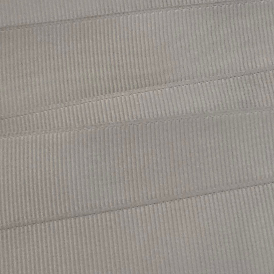 #009 Lt. Silver Grosgrain Ribbon