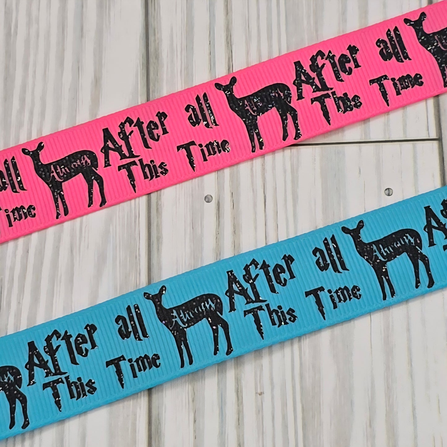 After All This Time Grosgrain Ribbon