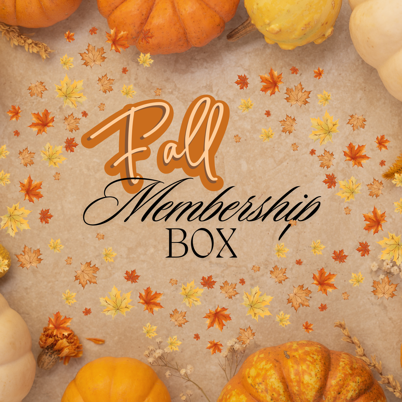 Fall Membership Box