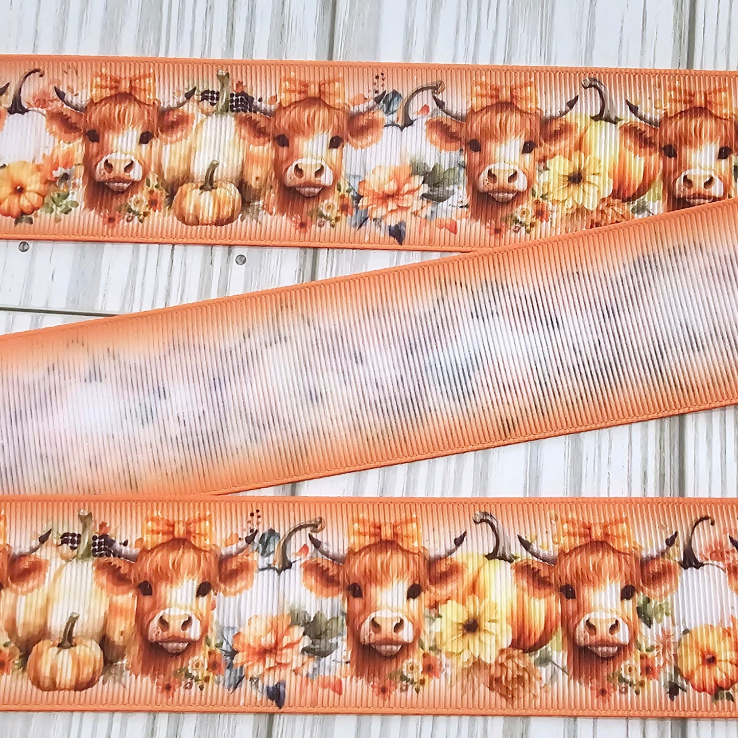 Sunflower, Pumpkins & Cows Ribbon