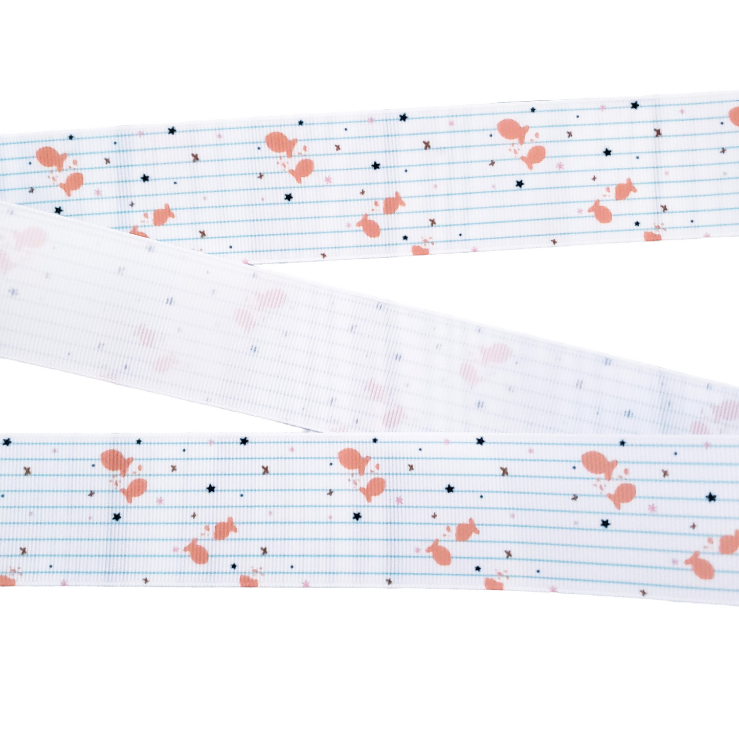 Goldfish School Lined Paper Ribbon